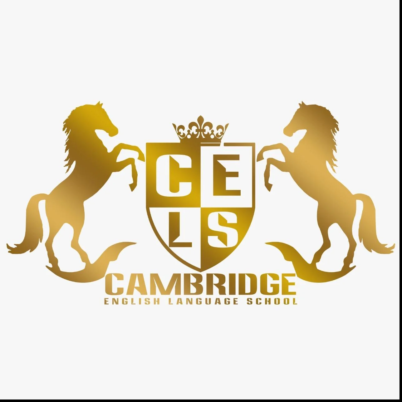Cambridge English Language School