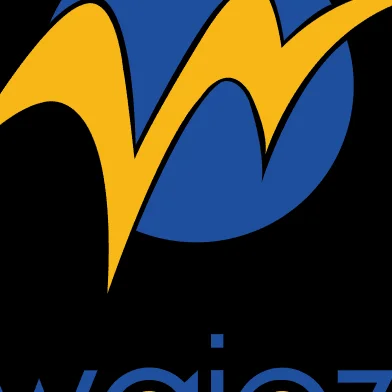 Waioz Consultancy Services