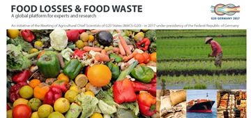 Smart Food Loss Reduction Solutions Transforming Agriculture