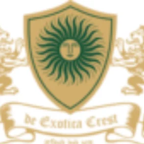 De Exotica Crest Resort Best Resorts In Shimla