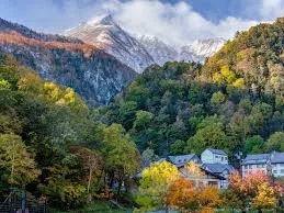 Exclusive Japan Trip Package from India with High-Speed Bullet Train Rides