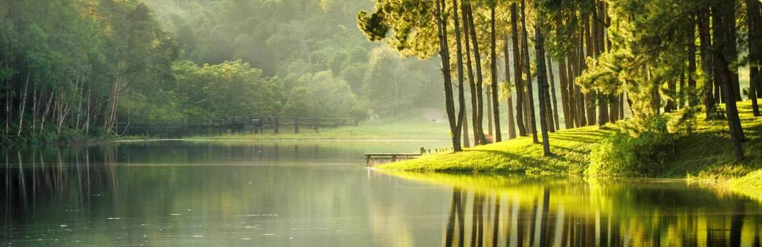 Drelizabeth Blackburn