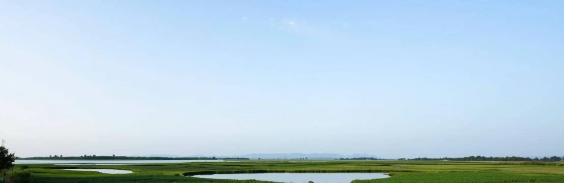 Total Property Insurance