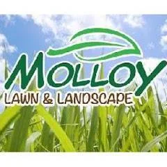 Molloy Lawn Landscape