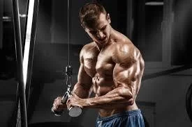 HGH: How It Supports Recovery and Performance